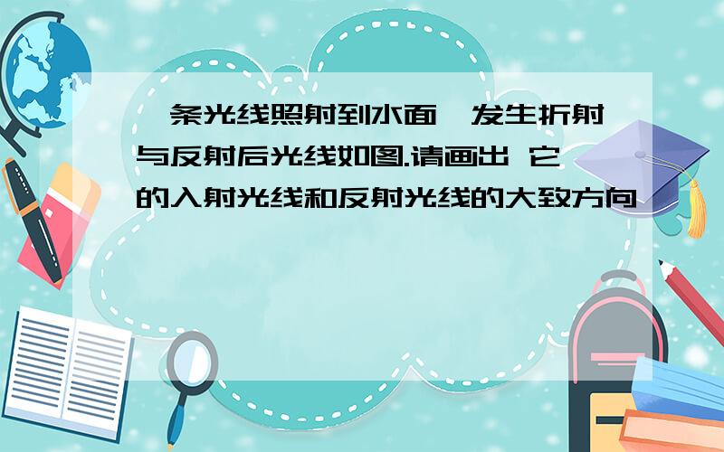 一条光线照射到水面,发生折射与反射后光线如图.请画出 它的入射光线和反射光线的大致方向