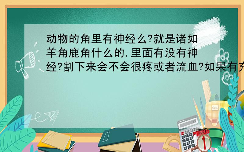 动物的角里有神经么?就是诸如羊角鹿角什么的,里面有没有神经?割下来会不会很疼或者流血?如果有充足的时间还会再长回去么?