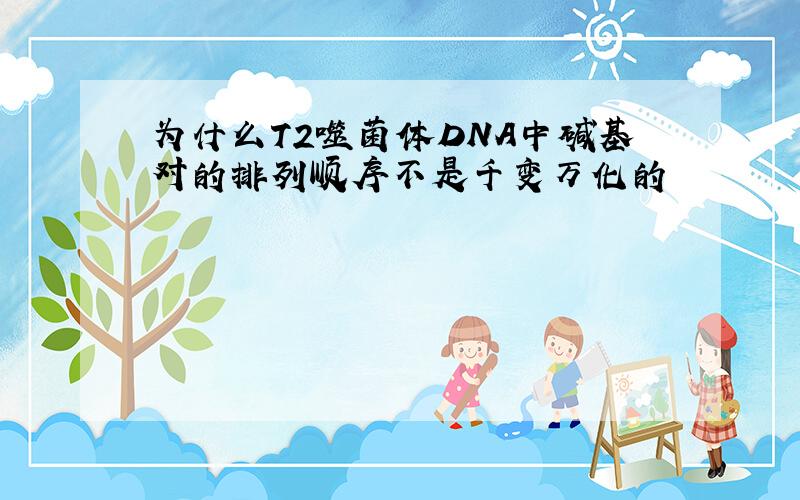 为什么T2噬菌体DNA中碱基对的排列顺序不是千变万化的