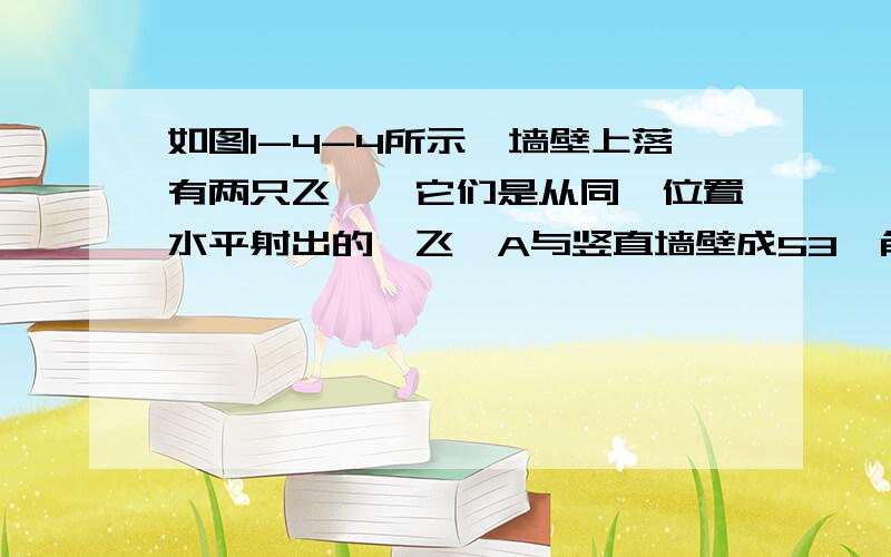 如图1-4-4所示,墙壁上落有两只飞镖,它们是从同一位置水平射出的,飞镖A与竖直墙壁成53°角,飞镖B与竖直墙壁成37°