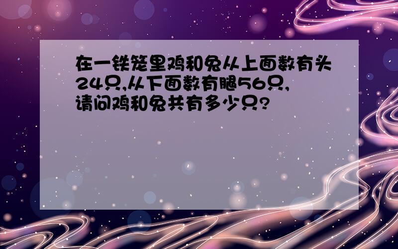 在一铁笼里鸡和兔从上面数有头24只,从下面数有腿56只,请问鸡和兔共有多少只?