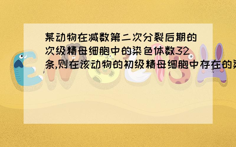 某动物在减数第二次分裂后期的次级精母细胞中的染色体数32条,则在该动物的初级精母细胞中存在的染色体数,四分体数,染色单体