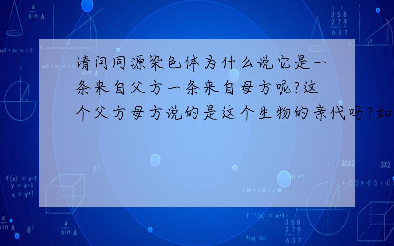 请问同源染色体为什么说它是一条来自父方一条来自母方呢?这个父方母方说的是这个生物的亲代吗?如果这样的话岂不是孙子和爷爷像