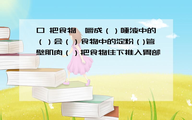 口 把食物咀嚼成（）唾液中的（）会（）食物中的淀粉（)管壁肌肉（）把食物往下推入胃部