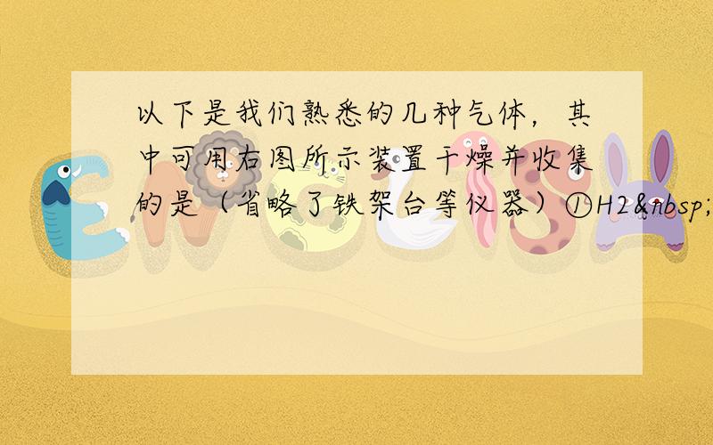 以下是我们熟悉的几种气体，其中可用右图所示装置干燥并收集的是（省略了铁架台等仪器）①H2  &nbs