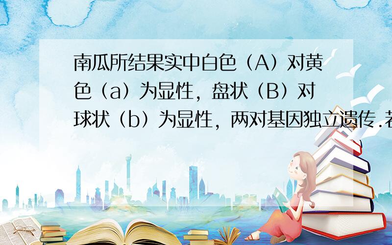 南瓜所结果实中白色（A）对黄色（a）为显性，盘状（B）对球状（b）为显性，两对基因独立遗传.若让基因型为AaBb的白色盘