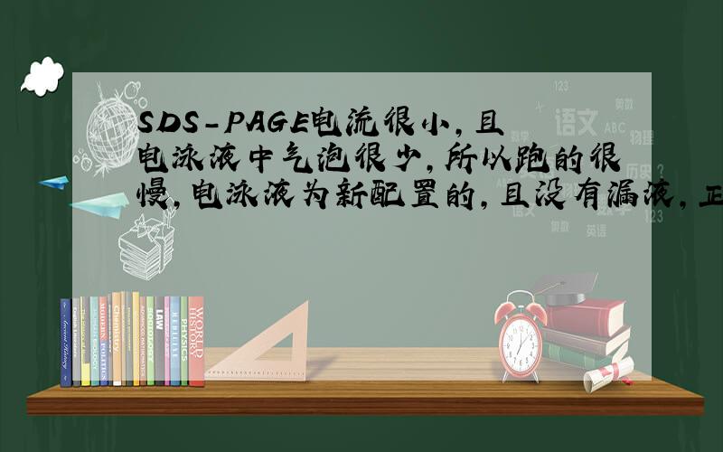 SDS-PAGE电流很小,且电泳液中气泡很少,所以跑的很慢,电泳液为新配置的,且没有漏液,正负极也没搞错,装配应该也没错