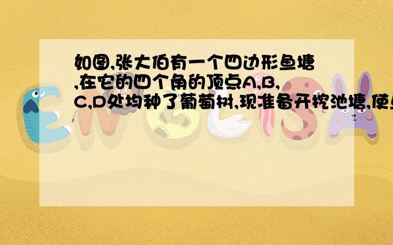 如图,张大伯有一个四边形鱼塘,在它的四个角的顶点A,B,C,D处均种了葡萄树,现准备开挖池塘,使鱼塘面积扩大一倍,但保持