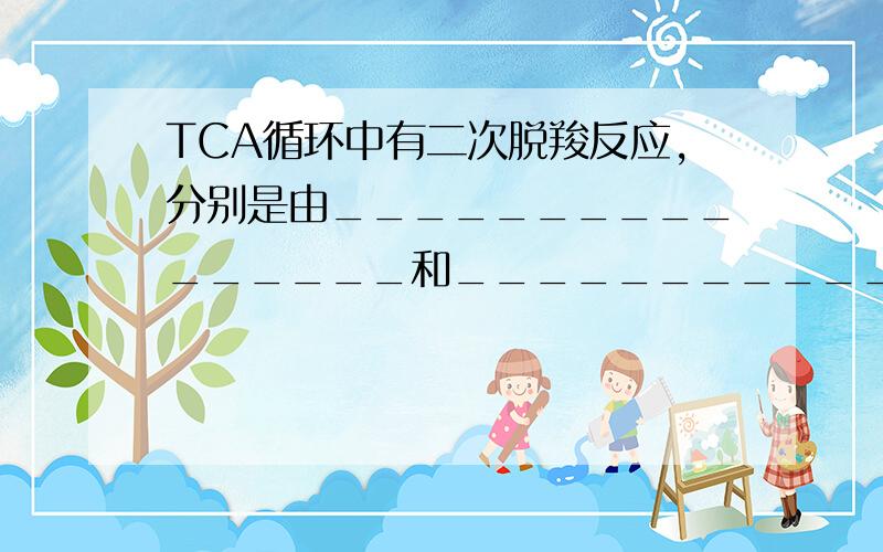 TCA循环中有二次脱羧反应,分别是由________________和________________催化.脱去的 中的