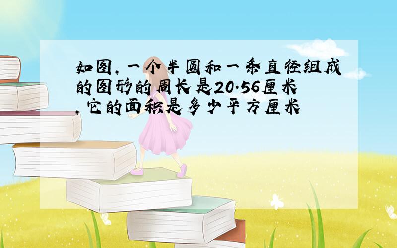 如图,一个半圆和一条直径组成的图形的周长是20.56厘米,它的面积是多少平方厘米