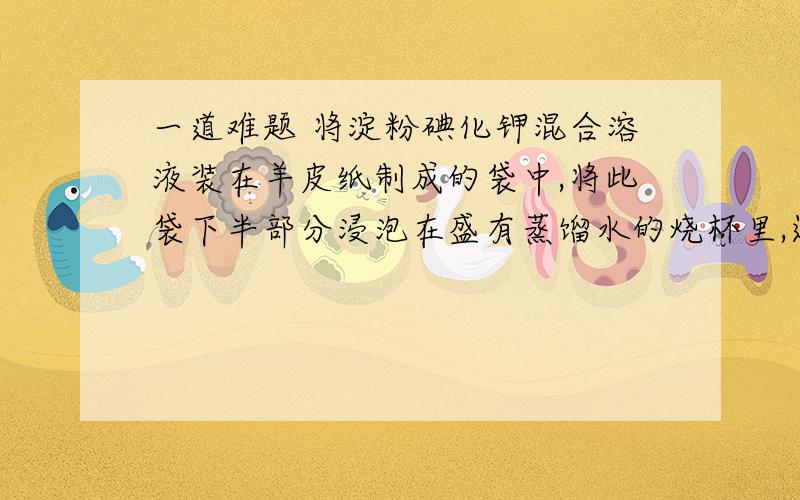 一道难题 将淀粉碘化钾混合溶液装在羊皮纸制成的袋中,将此袋下半部分浸泡在盛有蒸馏水的烧杯里,过一段时间后取烧杯液体进行实