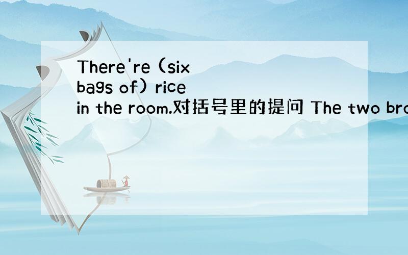 There're (six bags of) rice in the room.对括号里的提问 The two brot