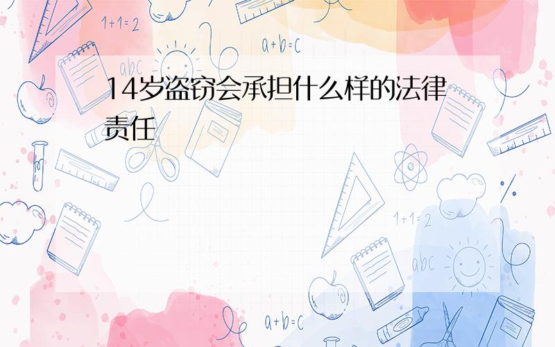 14岁盗窃会承担什么样的法律责任