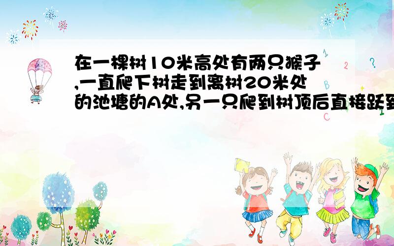 在一棵树10米高处有两只猴子,一直爬下树走到离树20米处的池塘的A处,另一只爬到树顶后直接跃到池塘A处,距离以直线计算,