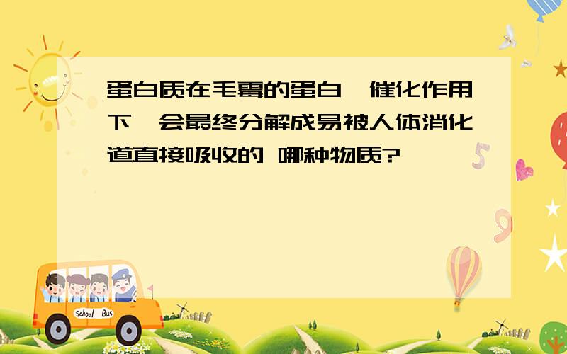 蛋白质在毛霉的蛋白酶催化作用下,会最终分解成易被人体消化道直接吸收的 哪种物质?