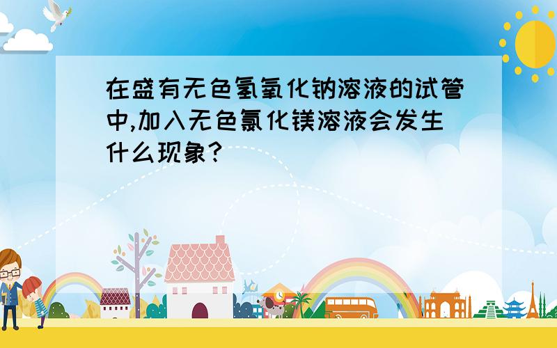 在盛有无色氢氧化钠溶液的试管中,加入无色氯化镁溶液会发生什么现象?