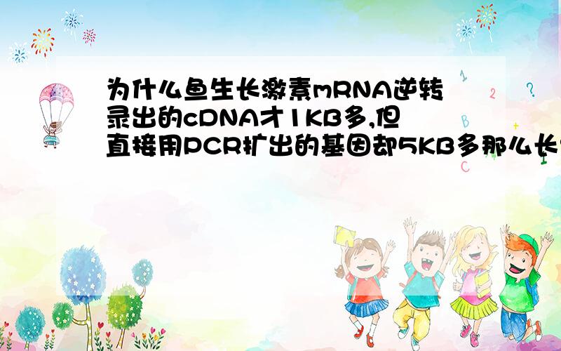 为什么鱼生长激素mRNA逆转录出的cDNA才1KB多,但直接用PCR扩出的基因却5KB多那么长?