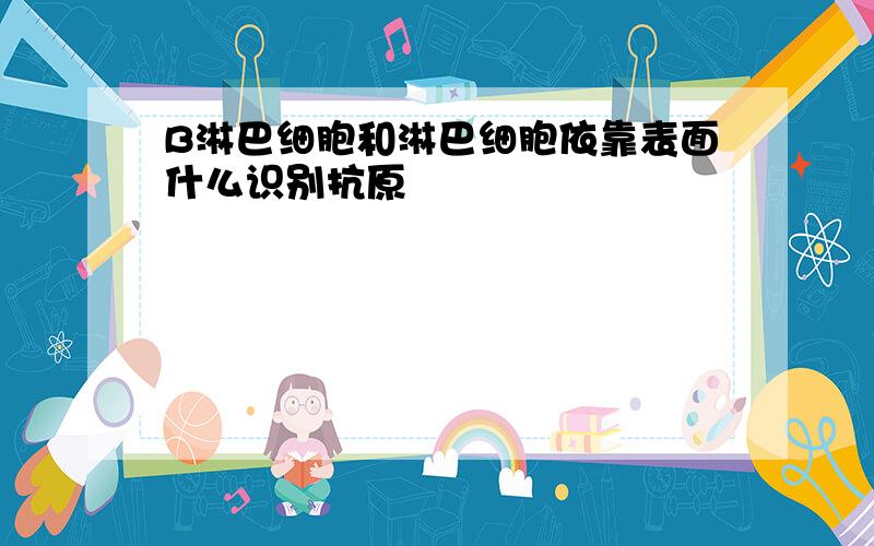 B淋巴细胞和淋巴细胞依靠表面什么识别抗原