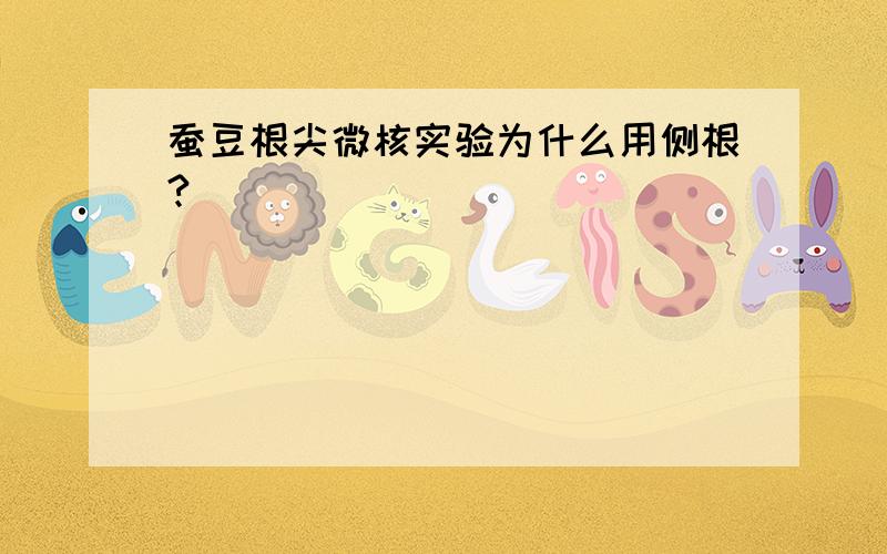 蚕豆根尖微核实验为什么用侧根?