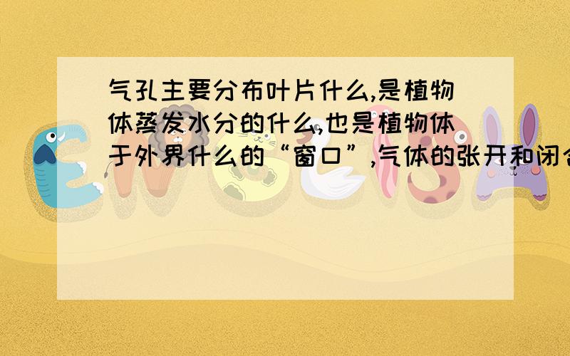 气孔主要分布叶片什么,是植物体蒸发水分的什么,也是植物体于外界什么的“窗口”,气体的张开和闭合受