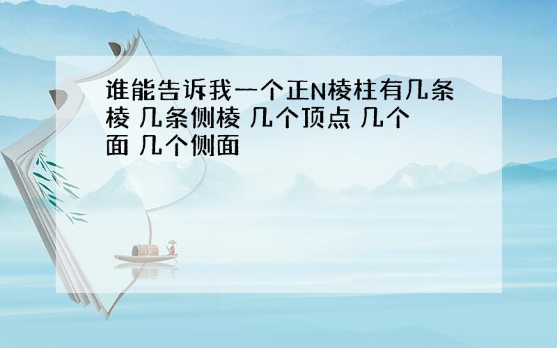 谁能告诉我一个正N棱柱有几条棱 几条侧棱 几个顶点 几个面 几个侧面