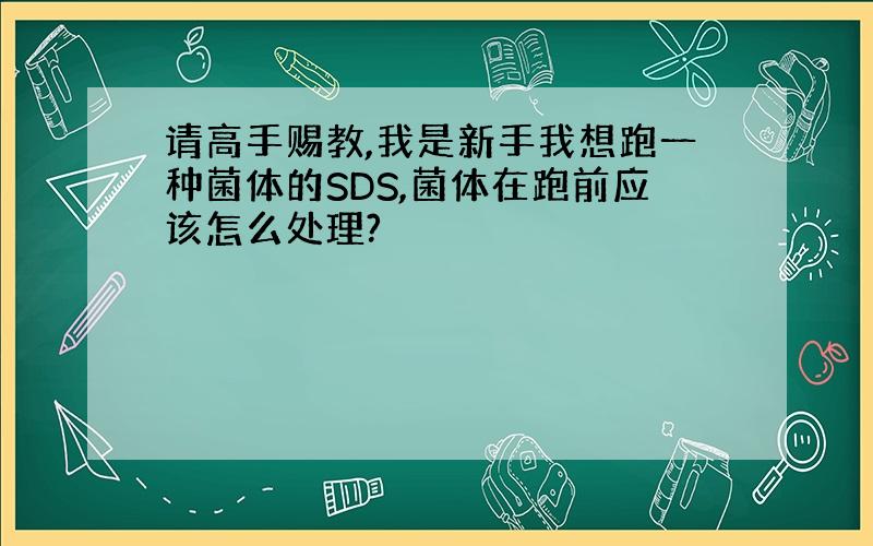 请高手赐教,我是新手我想跑一种菌体的SDS,菌体在跑前应该怎么处理?