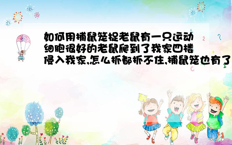 如何用捕鼠笼捉老鼠有一只运动细胞很好的老鼠爬到了我家四楼侵入我家,怎么抓都抓不住,捕鼠笼也有了,可至今都没抓住,到底该怎