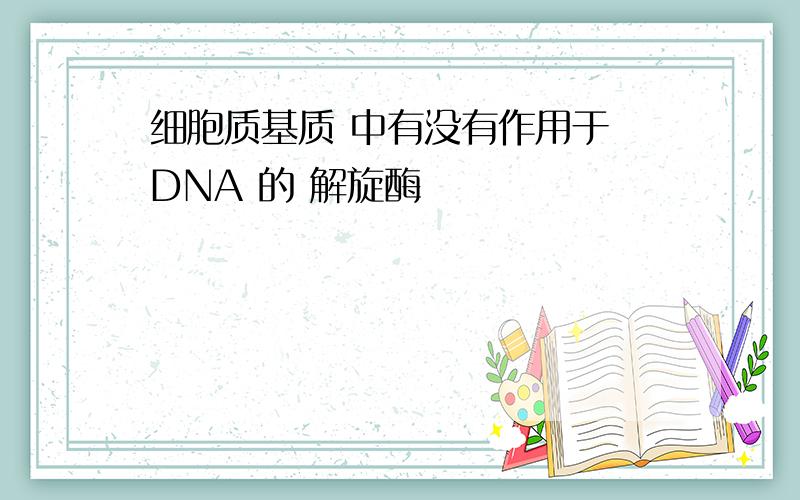 细胞质基质 中有没有作用于 DNA 的 解旋酶