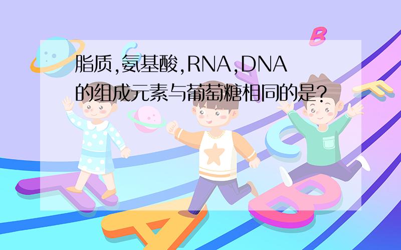 脂质,氨基酸,RNA,DNA的组成元素与葡萄糖相同的是?