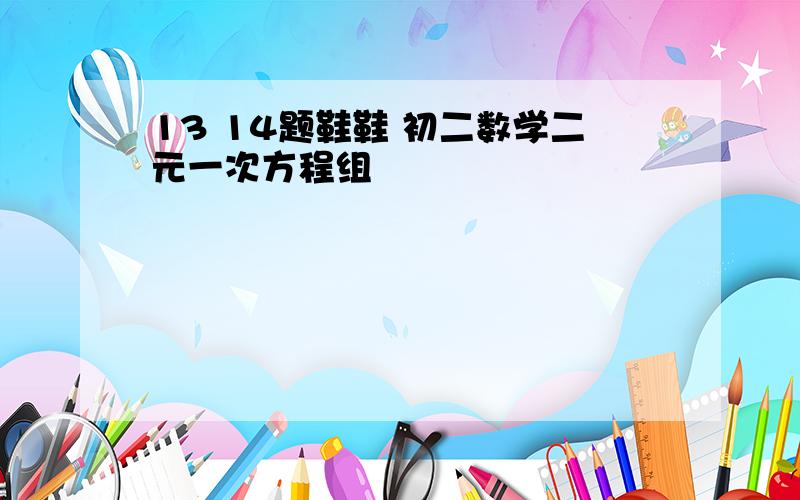 13 14题鞋鞋 初二数学二元一次方程组