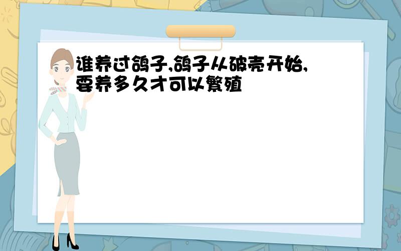 谁养过鸽子,鸽子从破壳开始,要养多久才可以繁殖