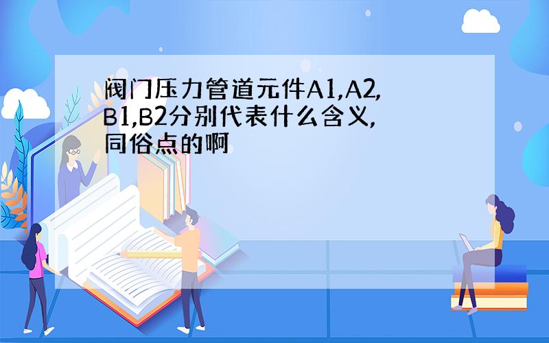 阀门压力管道元件A1,A2,B1,B2分别代表什么含义,同俗点的啊