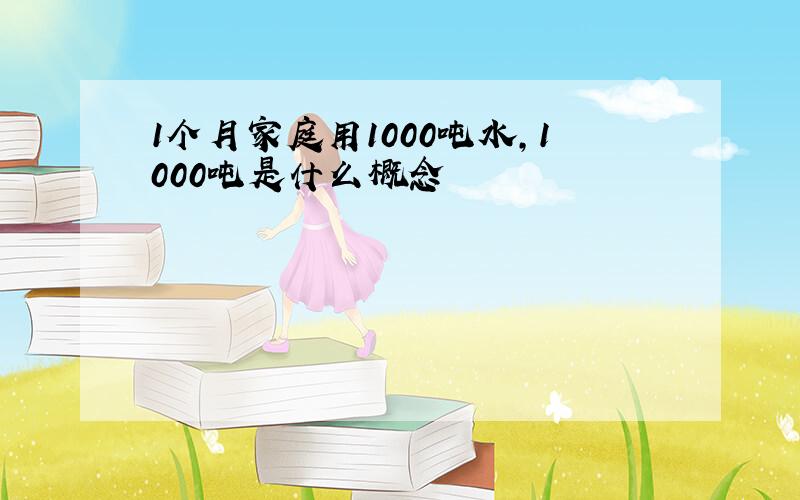 1个月家庭用1000吨水,1000吨是什么概念