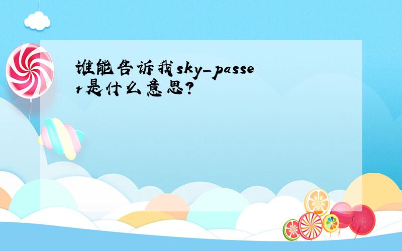 谁能告诉我sky_passer是什么意思?