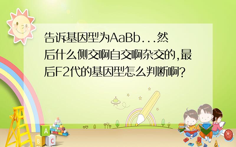 告诉基因型为AaBb...然后什么侧交啊自交啊杂交的,最后F2代的基因型怎么判断啊?