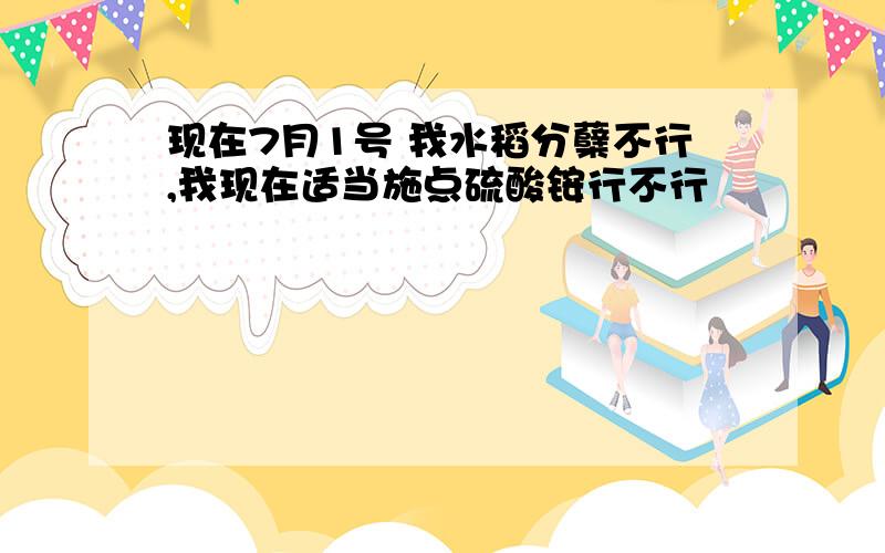 现在7月1号 我水稻分蘖不行,我现在适当施点硫酸铵行不行