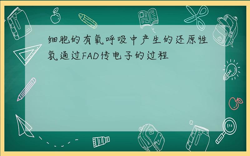 细胞的有氧呼吸中产生的还原性氢通过FAD传电子的过程