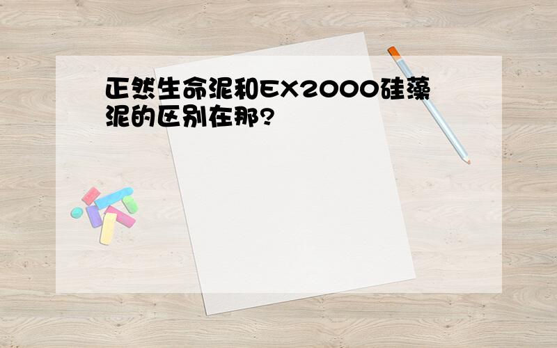 正然生命泥和EX2000硅藻泥的区别在那?