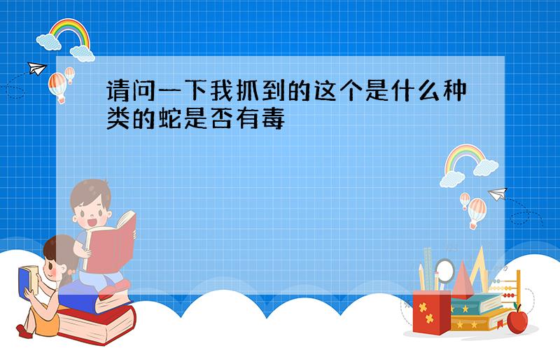 请问一下我抓到的这个是什么种类的蛇是否有毒