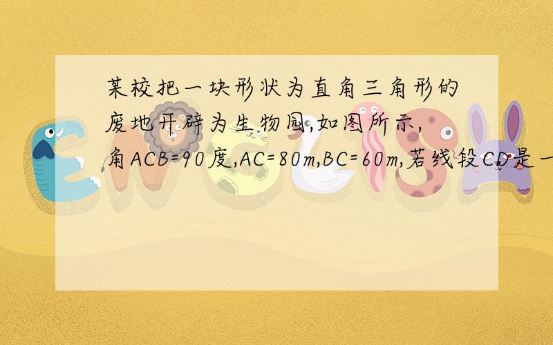 某校把一块形状为直角三角形的废地开辟为生物园,如图所示,角ACB=90度,AC=80m,BC=60m,若线段CD是一条小