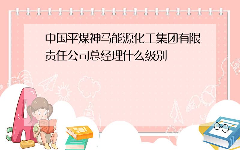 中国平煤神马能源化工集团有限责任公司总经理什么级别