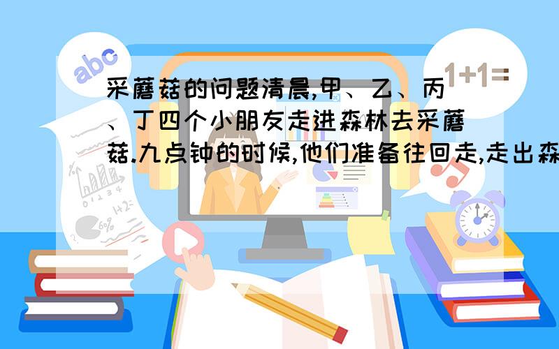 采蘑菇的问题清晨,甲、乙、丙、丁四个小朋友走进森林去采蘑菇.九点钟的时候,他们准备往回走,走出森林之前,各人数了数篮子里