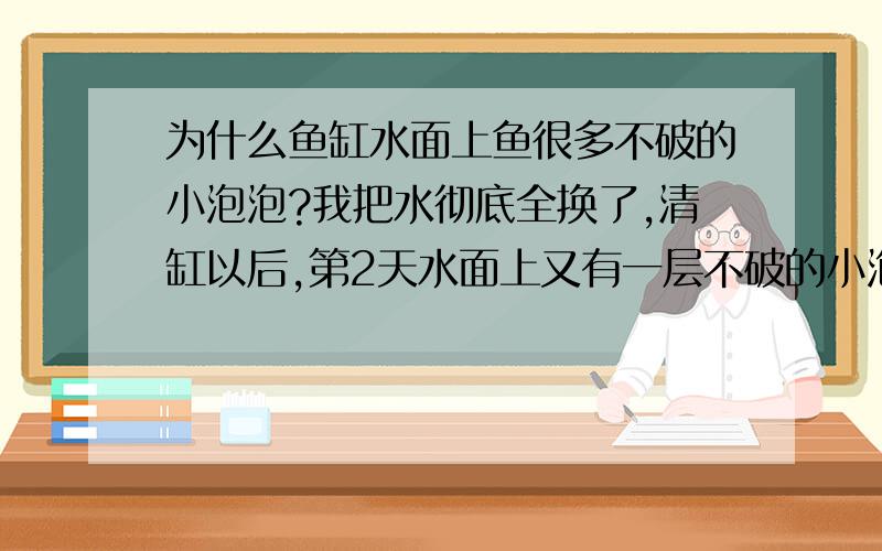 为什么鱼缸水面上鱼很多不破的小泡泡?我把水彻底全换了,清缸以后,第2天水面上又有一层不破的小泡泡