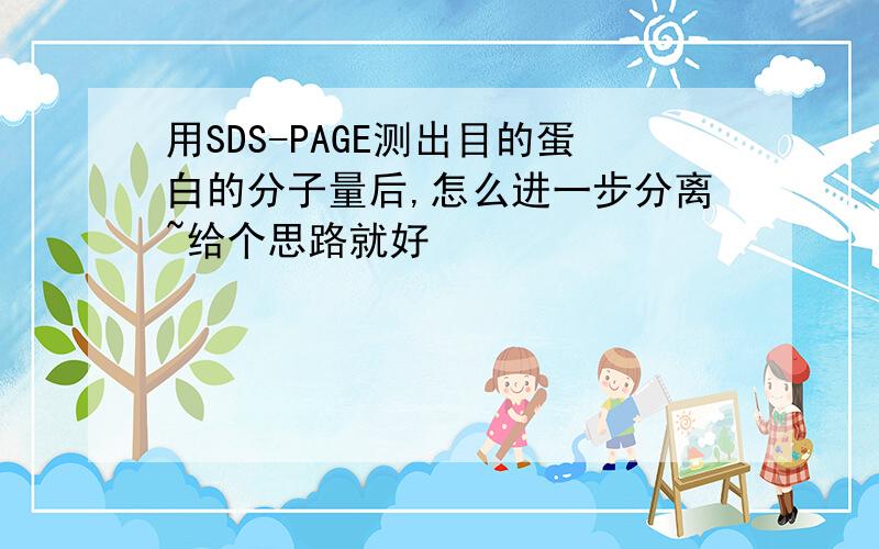 用SDS-PAGE测出目的蛋白的分子量后,怎么进一步分离~给个思路就好