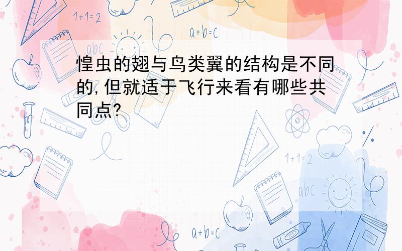 惶虫的翅与鸟类翼的结构是不同的,但就适于飞行来看有哪些共同点?