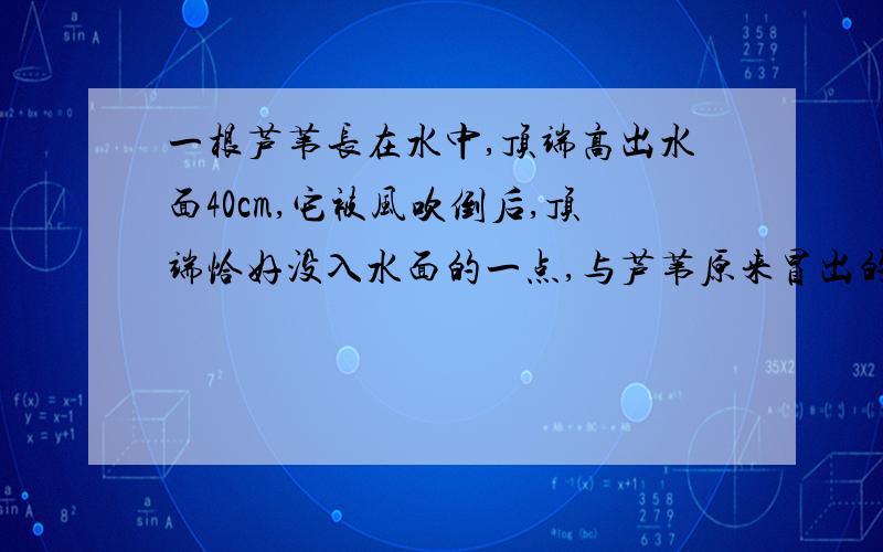 一根芦苇长在水中,顶端高出水面40cm,它被风吹倒后,顶端恰好没入水面的一点,与芦苇原来冒出的一点相距