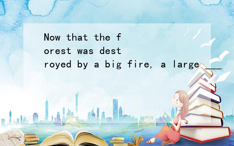 Now that the forest was destroyed by a big fire, a large ___