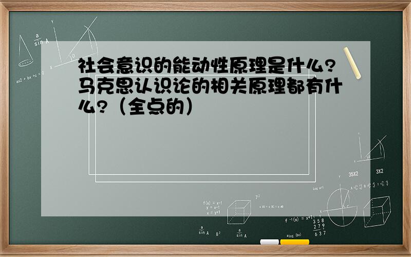 社会意识的能动性原理是什么?马克思认识论的相关原理都有什么?（全点的）