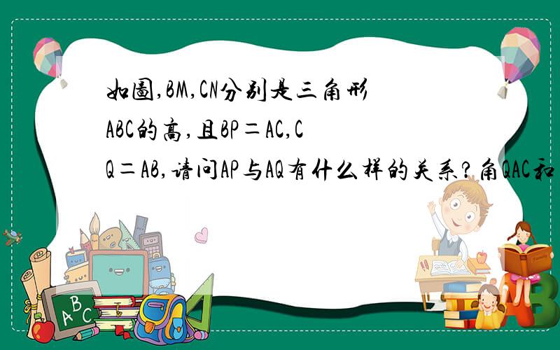 如图,BM,CN分别是三角形ABC的高,且BP＝AC,CQ＝AB,请问AP与AQ有什么样的关系?角QAC和角APB有什么