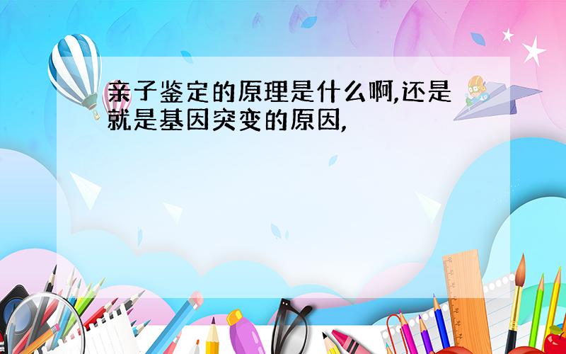 亲子鉴定的原理是什么啊,还是就是基因突变的原因,